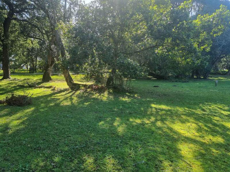 0 Bedroom Property for Sale in Brenton On Lake Western Cape